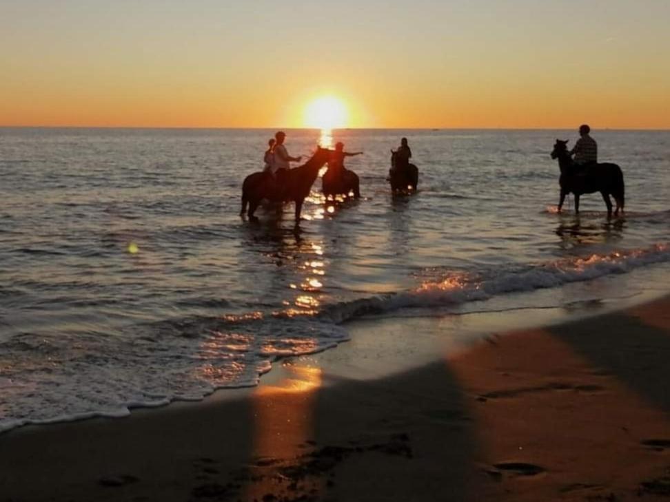גלה Mediterraneo Travel מראה חיצוני תמונה